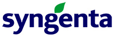 Ирина Буряк, Бизнес-ассистент по территориальному маркетингу СНГ, Syngenta
